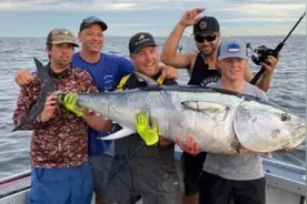 渔民在纽约海域捕获巨型金枪鱼 重量超500斤图片