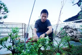 水东街二期改造后成为惠州文旅新地标 游玩居住更舒心图片