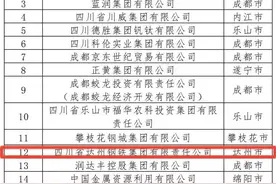 2021四川民营企业100强榜单出炉！达州钢铁以194亿营收总额位列第12名图片