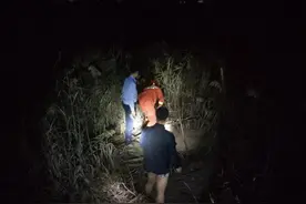 永嘉一男子凌晨到江边芦苇荡小便被困滩涂 民警消防合力成功营救图片