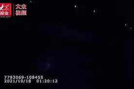 畅行高速丨济南高速上，来了一只鸭图片