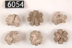 尼罗河来信｜金字塔下再“报菜名”：古埃及饮食文化续图片