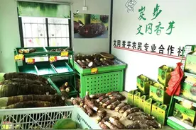 粉糯香甜！广州花都炭步的槟榔香芋上市啦图片