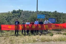 看！广东梅州这里油茶果满枝头图片