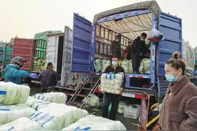 ​新发地冬储大白菜已上市，价格比去年高90%图片