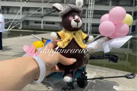 详细过程图，兔毛毛：超可爱兔子玩偶（有编织说明）图片