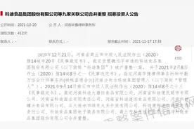 科迪集团破产重整招募投资人，方案能否被“相中”是难点图片