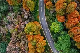 都江堰这3条私藏赏秋自驾线路，沿途风景美爆了~图片