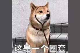 小学生帮亲舅脱单，欲把老师变舅妈图片