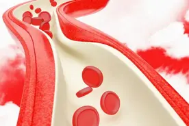 注意！今冬或出现极端天气！这8大器官一定保护好图片