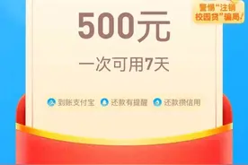 支付宝备用金你知道吗？骗子盯上它了，杭州临安一女子被骗1万多图片