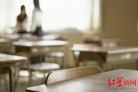 十所四川优质中小学和十所以色列优质中小学结成姐妹学校图片