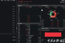 盛泰集团登陆上交所 它与宁波渊源深厚图片