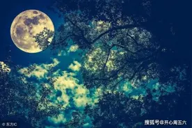 苏轼这篇短文只有85个字，却成千古名篇，充满人生哲理图片