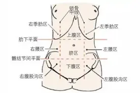 腹痛？送您一张“腹部地图”图片