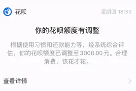 花呗更新了：一个限制级功能图片