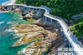 “打卡”海滨栈道 奔赴一场属于山海盐田的秋日浪漫图片