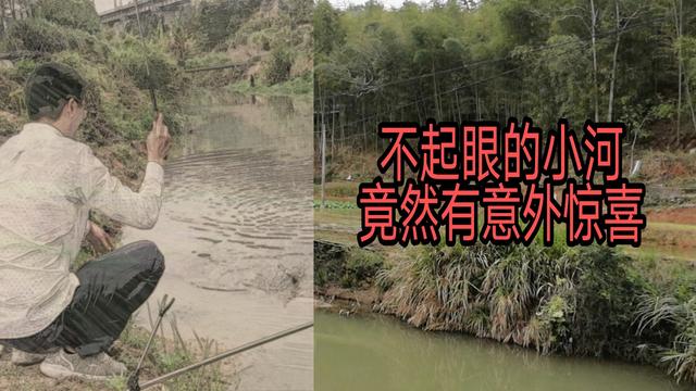 新手学钓鱼应该买什么装备？