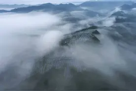 五问浙江乡村振兴 今年浙江“三农”最重磅文件有什么特别图片