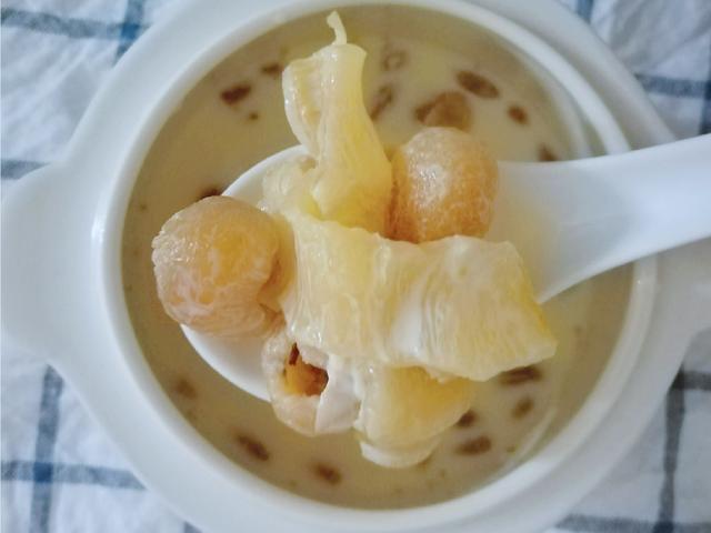 桂圆枸杞炖花胶的做法 2026年桂圆枸杞炖花胶的做法窍门