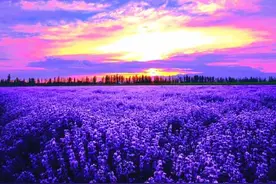 如果你有儿子，一定要教他如何择偶图片