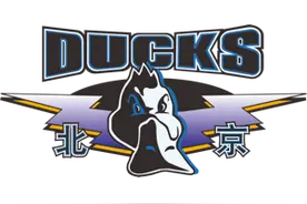 速看CBA联赛19支球队的前世今生图片