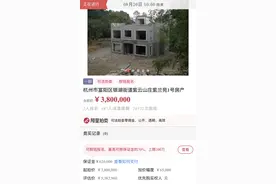 惊呆！这套380万起拍的别墅，竟是断壁残垣图片