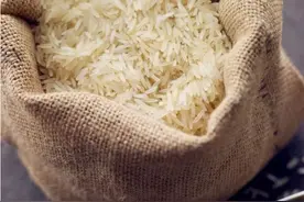 大米的起源与发展图片