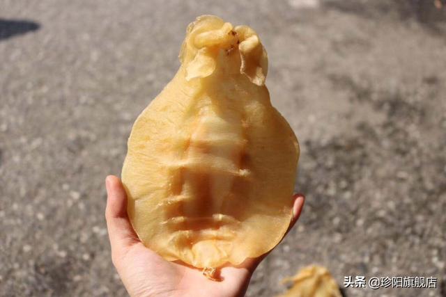 花胶过期一年还能吃吗 2026年花胶过期一年还能吃吗会中毒吗