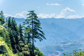 打猎的趣事图片