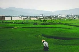 从城里回到村里有以下4类工作很吃香，你考虑好了吗？图片