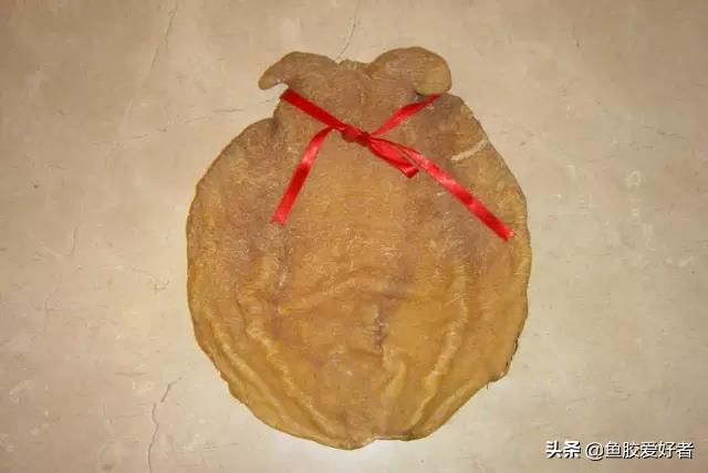 花胶最多储存多久 2026年花胶最多储存多久啊