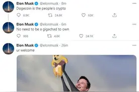 暴涨10000%！币圈“猪狗”升天，老韭菜被新韭菜教育了图片