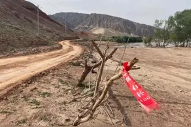 追问白银越野赛事件：谁该为惨剧负责？图片