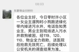 浙江嘉兴一男子为救自家狗被困污水井身亡？社区：已介入调查图片