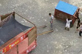 没有“户口”的流浪老虎，就应该不明不白地消失吗？图片