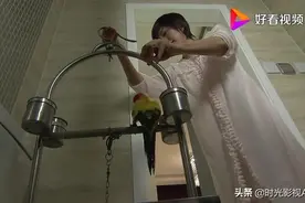 鹦鹉叫主人妈妈，女子正乐呢，谁料下一句直接气吐血了！图片