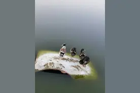 即便你真的伤害了我，我也心甘情愿让你一笑而过！图片