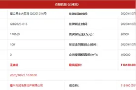 楼面价4220元/㎡，华润11.8亿拿下临深10万㎡靓地图片