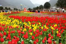 毕节一个民族自治县，总面积为6295平方千米，与南京相差不大图片