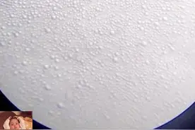 母乳被显微镜放大1000倍：会轻轻蠕动，还如此纯净，让人难以置信图片