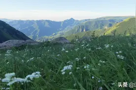 河北第一高村茶山的三大看点和两大遗憾图片