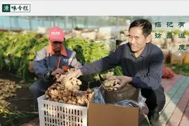 年销7000万！一位农民用47年光阴种出最好的姜图片