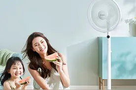 租房也要住的舒服！超详细的风扇选购攻略收好不谢图片