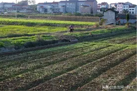 农村“这两类”人将被销户，土地要全数收回图片