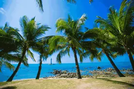 为啥海南人寿命、心脏、身材领先全国？真相有八条图片