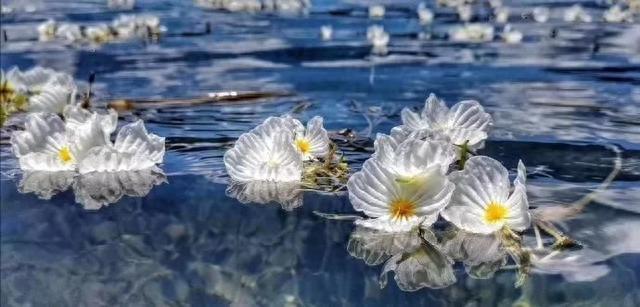 巴厘岛攻略(巴厘岛旅游团骗局)