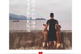 从小跟狗睡，温州训犬师：可以说是狗给了我一切图片