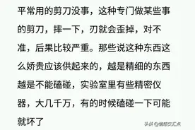​​我姐是裁缝，用的剪刀娇气得很，我三十了都不让我拿不让我用图片