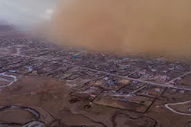 唐驳虎：治沙要帮蒙古种草？中国有更好的妙招图片